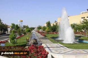 عکس 4